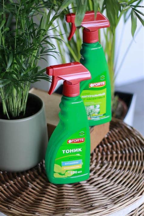 Все для комнатных растений и цветов купить в Минске