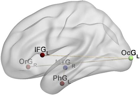 Functional Connectivity Between The Parahippocampal Gyrus And The