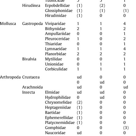 Taxa Of Macroinvertebrates In The Study Rivers Download Scientific