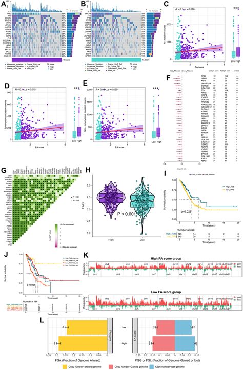 Identification Of Fatty Acid Related Subtypes The Establishment Of A