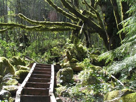 Nude Hiking And Soaking In The Pacific Northwest June