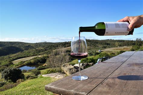 Wine Explorers Private Uruguay Wine Tours Guru Guay