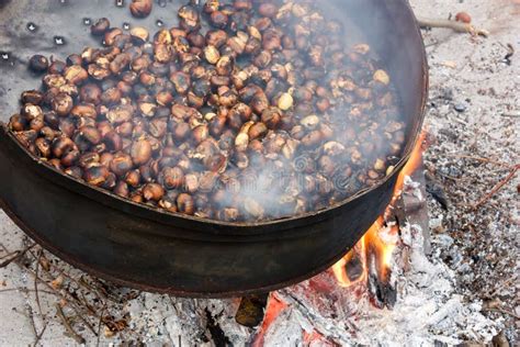 Roasting chestnuts stock photo. Image of nature, domestic - 1377694