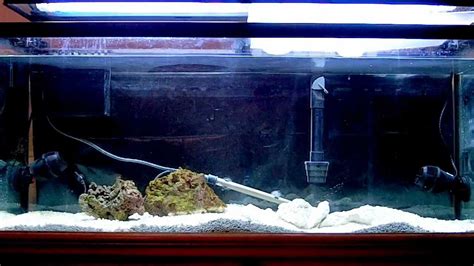 Starting A Marine Aquarium For Beginners - Aquarium Views