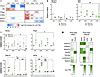 JCI Insight Effect Of Sex Chromosomes Versus Hormones In Neonatal Lung Injury