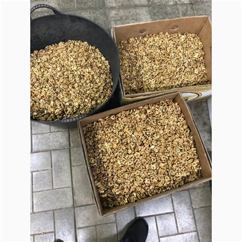 Покупаем очищенный грецкий орех, Киевская обл., Грецкие орехи — APKUA