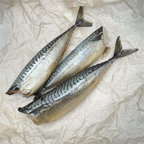 Копчёная скумбрия оптом. Купить скумбрию холодного копчения