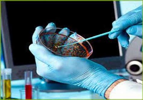 Laboratory Microbiological Testing Service At 1 Sample In Mumbai