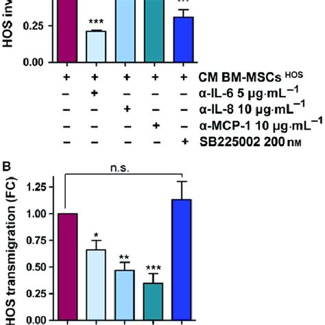 Bm Mscs Secrete A Specific Pattern Of Cytokines And Growth Factors A Download Scientific