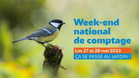 WEEK END NATIONAL DE COMPTAGE DES OISEAUX DES JARDINS Bienvenue Sur