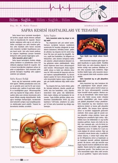 Safra Kesesi Karn I Erisinde Karacierin Alt Tarafna Yapflk Olarak