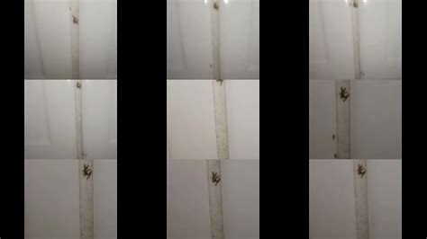 電車 対面パンチラ Search XVIDEOS