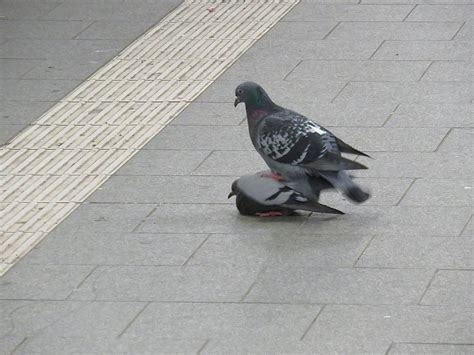 Sex Am Bahnhof Darf Das Sein Abseits Der Eisenbahn Off Topic Saarlandbahnen De
