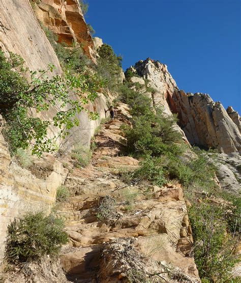 Hiking The Lady Mountain Trail In Zion National Park Utah