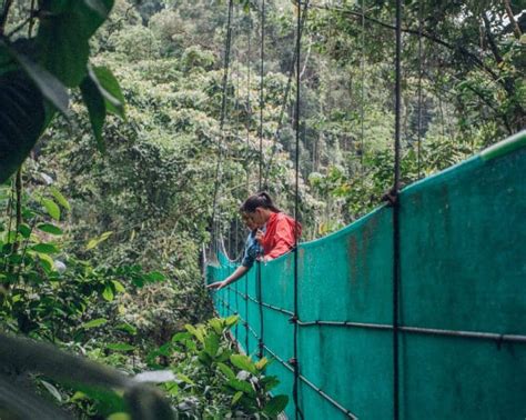 Arenal Ziplines Hanging Bridges Experiences Sky Adventures