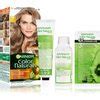Ilgalaikiai plaukų dažai Garnier Color Naturals Creme 7N Nude Blond 40 ml kainos nuo 4 49