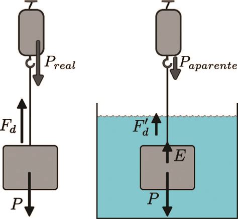 SciELO Brasil Um aparato experimental para o estudo da força de