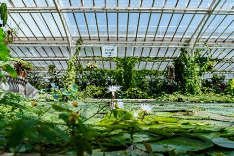 Der Botanische Garten Münchens Aushängeschild der Flora Fauna