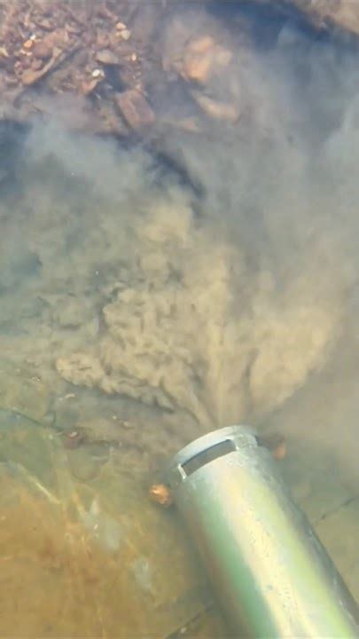 Промывка золота в 2024г #золотодобыча #золото #минералы #золотоискатели ...