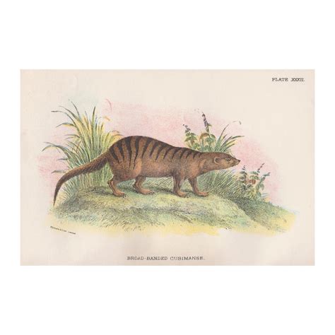 Vintage Prints London | London