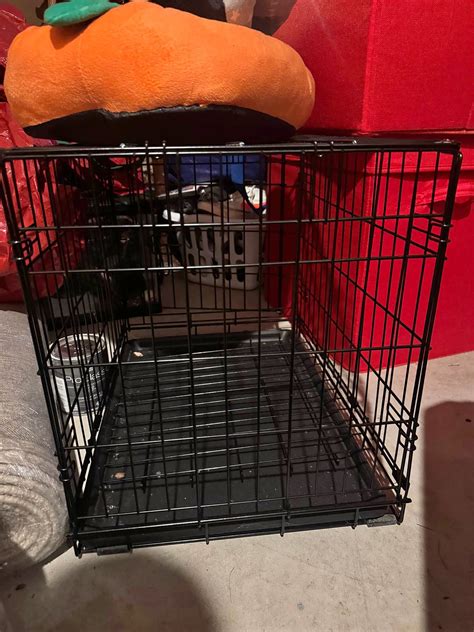 Pet Supplies for sale in Milwaukee, Wisconsin | Facebook Marketplace