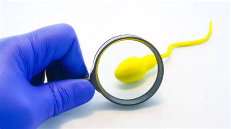 Characteristics Of Healthy Sperma Can T Be Seen With Nude Eyes Here S