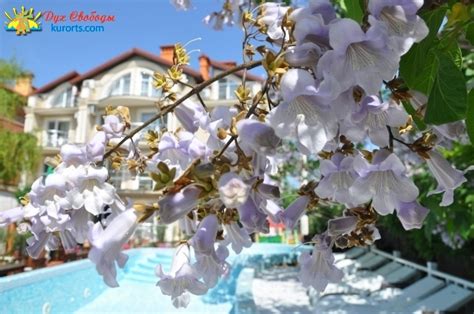 Отель Фараон Затока с бассейном и рестораном в центре курорта