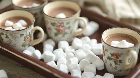 Cozy Winter Hot Cocoa With Marshmallows Daylight Scene Stock Photo Image Of White Drink