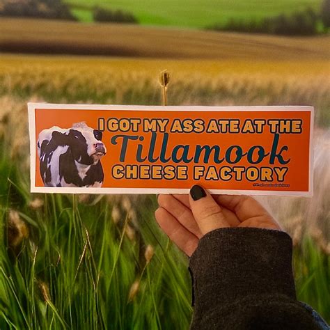 I Got My Ass Ate At The Tillamook Cheese Factory Bumper Sticker Or Magnet Funny Sticker Satire