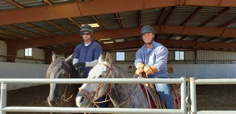 Wild horses and inmates alike learn discipline through prison ranch