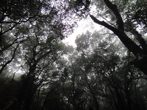 Through Naked Eyes Photograph By Pooja Alok Fine Art America