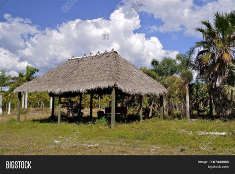 Chickee Hut Tropics Image & Photo (Free Trial) | Bigstock