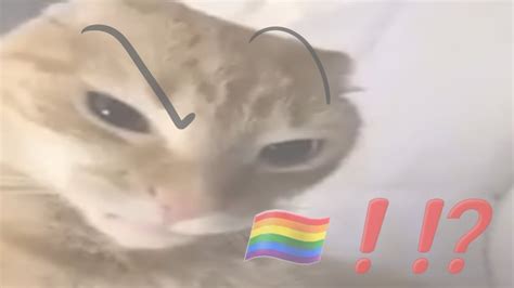 Gay Ppl Original Animation Meme Youtube