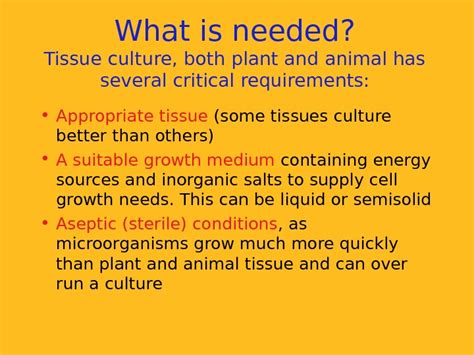 Презентация plant tissue culture and applications