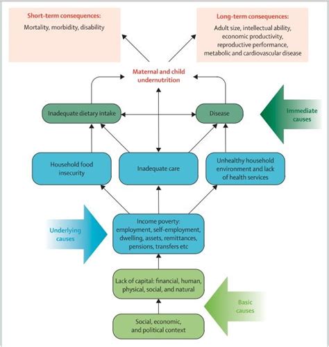 4.1. UNICEF Malnutrition Framework Diagram | Quizlet