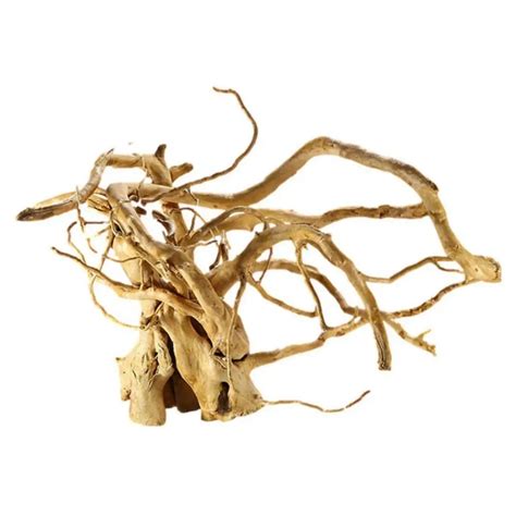 Wood Natural Tree Driftwood Branches Shape Random Natural Reptile Wood