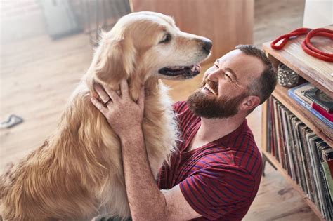 Nestlé Purina Petcare Asia Oceania And Africa On Linkedin In New