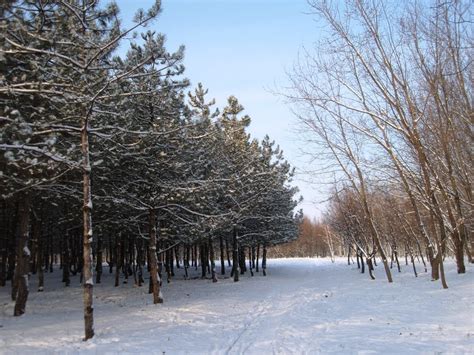 Фото Морозный полдень в городе Пологи