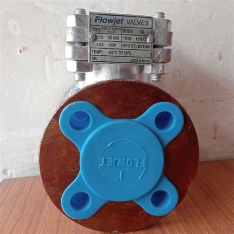 Flowjet Check Valve At Rs 4410 Swing Check Valve In Kanpur ID