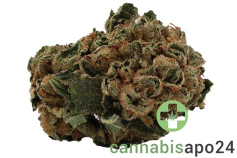 Weeco 23/1 - cannabisapo24.de