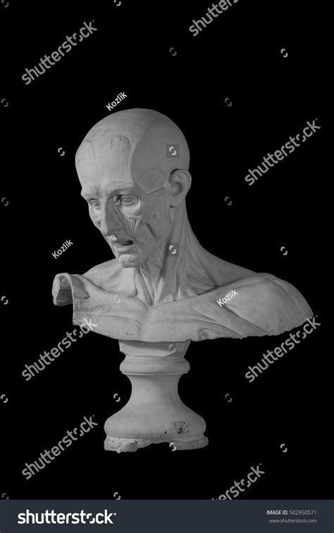 Plaster Statue Naked Man Anatomically Shaped Stock Photo
