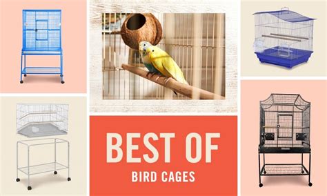 Best Bird Cages Of According To Pet Parents Like You Bechewy