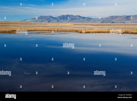 Great Salt Lake Bear River Migratory Bird Refuge Utah Stock Photo Alamy