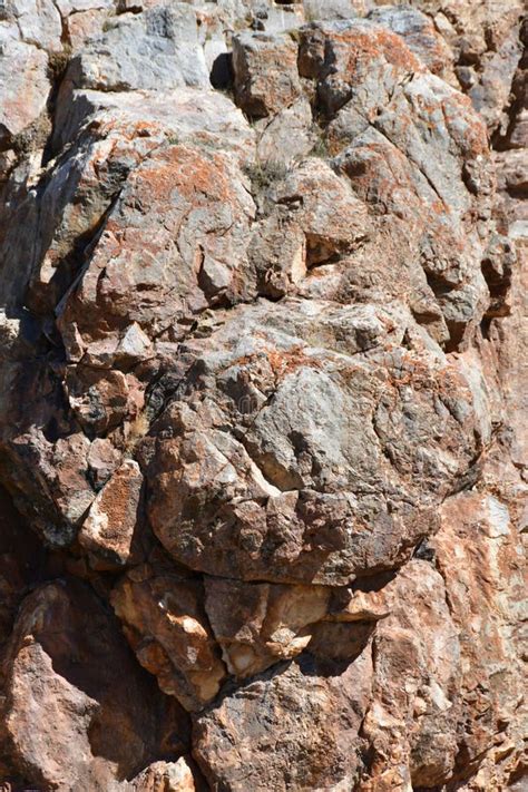 Caras Naturaleza Creadas De La Gente Y De Criaturas M Ticas En Las