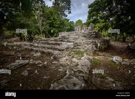 Abandoned Mayan Structures In Playacar Riviera Maya Stock Photo Alamy