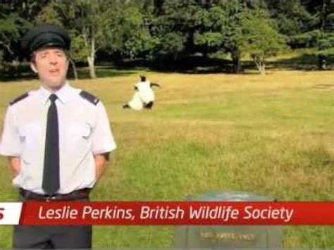 Sex Party Ads Of The World Part Of The Clio Network