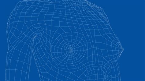 Nude Female Anatomy Vector Images Over 1 500