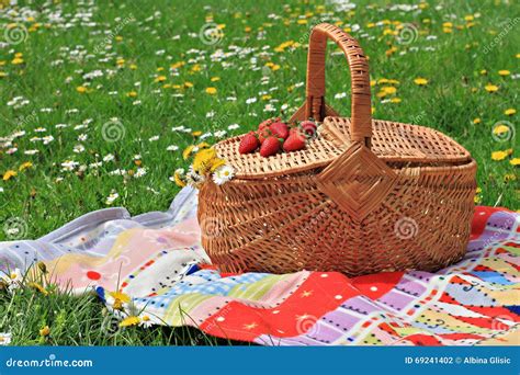 Picnic Blanket In Basket At Ebony Heritage Blog
