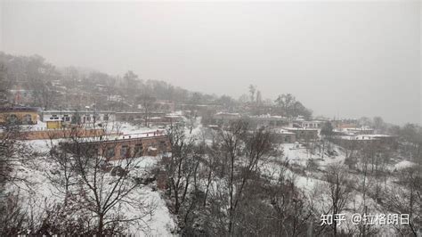 21年山里的第一场雪 知乎