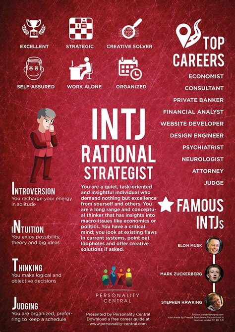 Myers Briggs Intj The Strategist